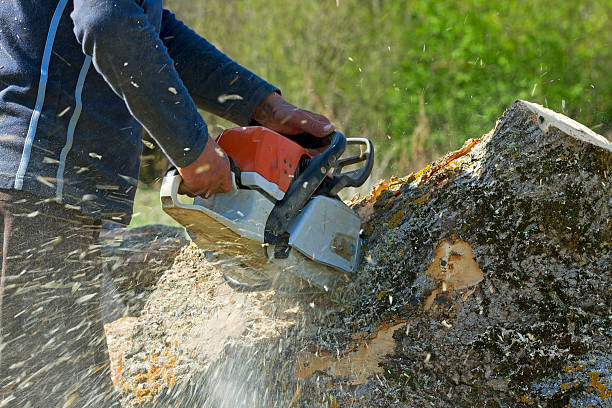 Best Commercial Tree Services  in Gardiner, ME